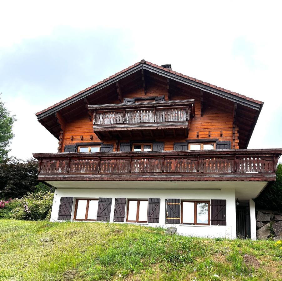 Entre Lac Et Pistes De Ski Gérardmer Zewnętrze zdjęcie